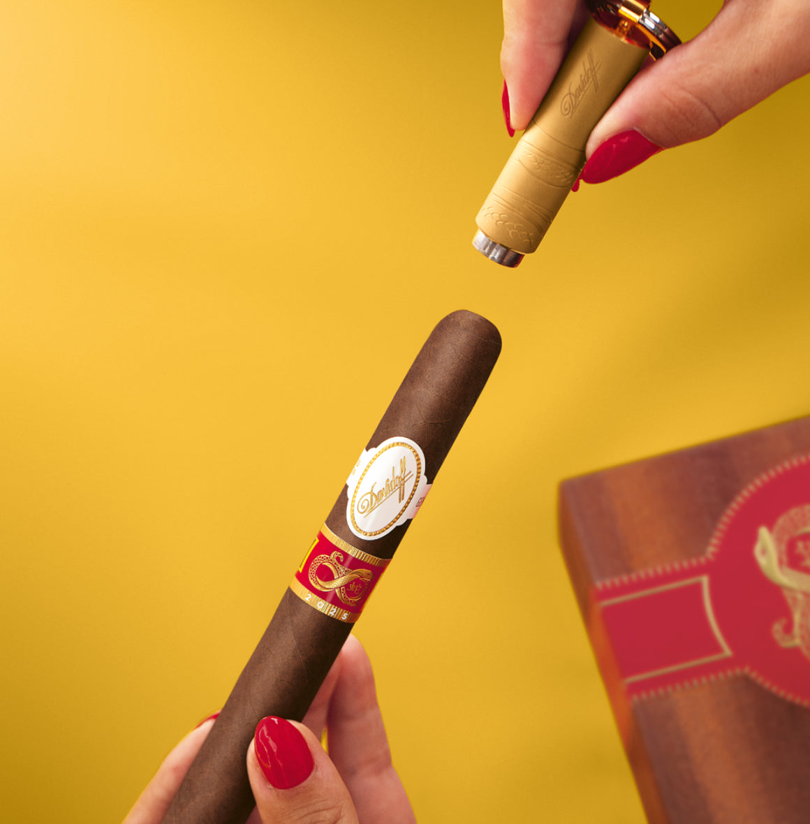 Davidoff Year of the Snake Accessory Gift Set